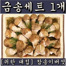 [캥거루배꼽] 품격있는 금송세트 1kg 주문시송이뜰농장수확후발송 참송이버섯, 1세트