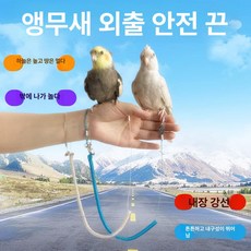 10m 앵무새 리드줄 3m 하네스 비행줄, 1개, 블루 직선3m 발목밴드 없음