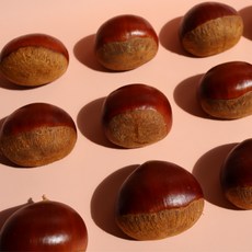 특대사이즈 2025 햇 밤 부여 알밤 왕밤 특대, 1개, 2kg