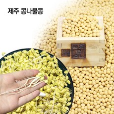 제주 콩나물콩 25년산 발아율최고 무농약 풍산품종 햇콩 낫토용콩, 3개, 1kg