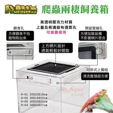 P老闆水族 爬蟲先生 爬蟲兩棲飼養箱 陸龜 守宮 蛇 飼養箱 昆蟲盒 爬蟲壓克力盒 爬箱, 1個, 20x20x18公分