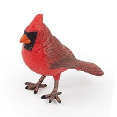 브로샵 모형 장난감 홍관조 새모형장난감