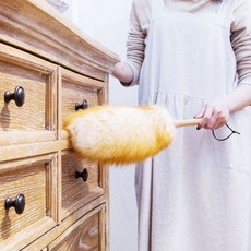 청소 털 제거 떨이 기 집 개 안 먼지청소기 집에먼지 먼지 정전기 gra*00484jo