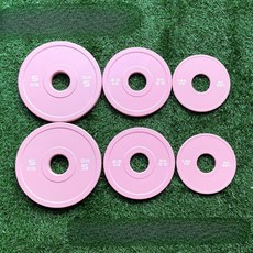 핑크 역도 웨이트 플레이트 1.25kg/5kg 크로스핏 헬스 원판 귀여운 예쁜 감성, 2.5kg (2개)