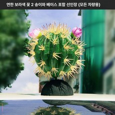머스코 자동차 선인장모형 안테나 볼 장식용품, 연보라 플라워 2개 받침대 포함