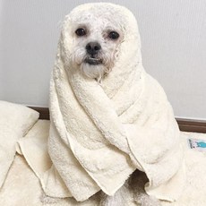 반려견 드라이 수건 베이지 중형 1P 몬스터 펫타올, 1개, 상세페이지 참조