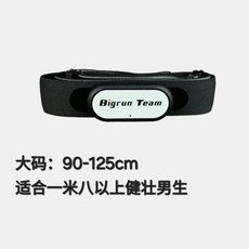 Polar H0 폴라 모니터 체크 스트랩, E. 화이트 머신 헤드대형 스트랩