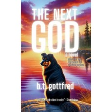 (영문도서) The Next God Paperback, Bold Soul Books, English, 9781965956007