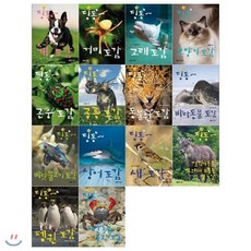 [전집] 딩동 도감시리즈(전14권), 지성사(전집)