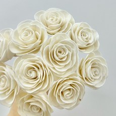 “Be a florist 花藝夢” 高品質索拉 平原玫瑰 索拉 3公分 4公分 6公分(單支) 擴香花 乾燥花 永生花, 雙色復古橘,4公分