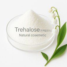 트레할로스 /보습원료, 500g, 1개