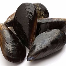 통영 제철 수산물 통영석화 제철석화 평일 당일출발, 1박스, 홍합2kg