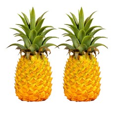 Archnote 식품 샘플 과일 파인애플 디스플레이 입상 물건 2개