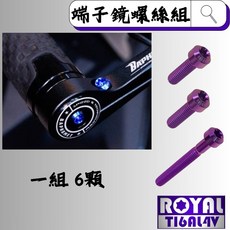 ROYAL 鈦合金螺絲 巴風特 皇家紫, 1個