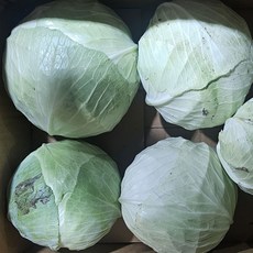 클릭마켓 국내산 손질 깐 양배추 업소용 대용량 식자재, 1개, 7kg