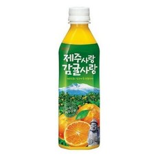 롯데칠성 제주감귤 500ml X 6PET, 본상품