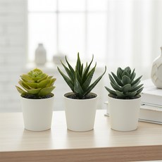 인조 다육 식물 6cm 3개 다육이화분 다육이미니화분, 1개