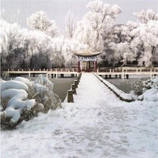 스튜디오배경지 유튜브 설산 설경 촬영 프레임, 1.5x2m, 1개, 라이트옐로우