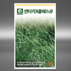 다농 켄터키31톨페스큐 20g 잔디씨앗 법면 녹화 사방공사 한지형 화본과 목초 씨 종자, 1개