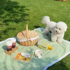 레이스 테두리가 달린 직사각형의 피크닉 담요 캠핑 해변 나들이 촬영 배경에 적합 1벌, 체크, 녹색