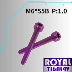 ROYAL M6*55B P:1.0 鈦合金錐形螺絲 皇家紫, 1個