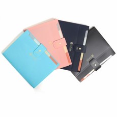 모닝글로리 5500 클레버 12분류 간편 도큐멘트화일, 민트, 1개