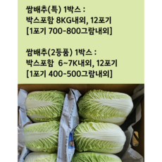 [임가네농산] 배추 알배추 쌈배추 국내산 알배기 배추, 1개, 6.5kg
