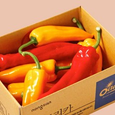 오아로 트리벨리 파프리카 1.2kg 고당도 미니, 고당도 트리벨리 파프리카 1.2kg