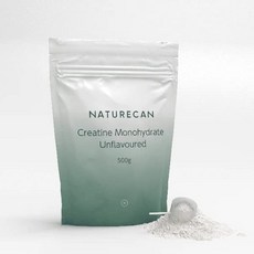 Naturecan 크레아틴 모노하이드레이트 500g 비맛 (1식당 5g) 100식분, 1개