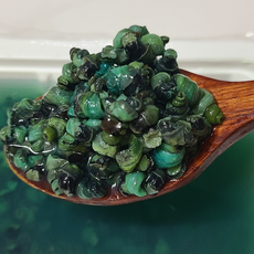 자연산 다슬기 깐다슬기 올갱이 300g 1kg, 깐다슬기 300g(살100g+육수200g), 1개