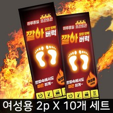 일상생활 깔창형 신발 깔창핫팩 2P 여성용 95g, 10세트
