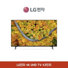 LG전자 43인치 4K UHD TV AI ThinQ 에너지효율 1등급, 스탠드