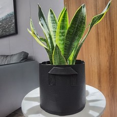 중형 부직포 화분, 상세페이지 참조, 1개