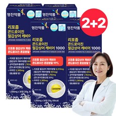 영진약품 리포좀 철갑상어 콘드로이친 식약청인증 상어연골, 4개, 30정