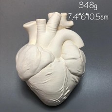 인간 장기 심장 예술적 석고 조각상 미니 조각품 데스크탑 장식 색칠 공예
