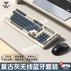 브리즈픽 독거미 Pro 키보드 AULA 아우라 키보드 다양한 하우징 화이트 등고선 키캡 S99 무선 기계식 키보드 (블루투스/유선), 네, 레트로 그레이 + 3모드 마우스, 일반형