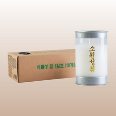 엘캔들 보리심 식물성 팜통초 1일초, 10개 10개