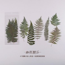 식물 꽃 장식 스티커 잡지 스크랩북 소재, 1개, 1개, 8. 7