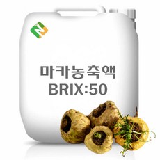 마카농축액 50Brix 200g 샘플, 1