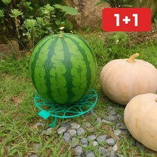 수박받침대 호박 메론 재배 농사 작물 그물망 과일 1+1, 1개