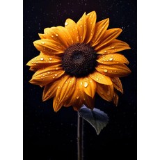 해바라기 포스터 인쇄 캔버스 회화 벽 예술 빈티지 사진 거실 주방 홈 장식 프레임리스 선물, D. SKU-03
