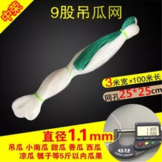 種瓜豆角弔瓜絲瓜苦瓜黃瓜百香果專用網植物爬藤網種植網攀爬農用TJBZ, 3*100粗9股【孔25吊瓜】, 1個