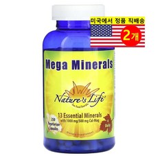 Nature's Life 메가 미네랄 13종 Mega Minerals, 2개, 250정