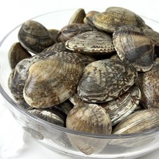 해감 잘 된 국내산 왕 바지락, 1개, 활바지락 1kg