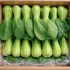 신선한 국산 청경채 샤브샤브 마라탕 가정용 업소용 벌크, 1박스, 1kg