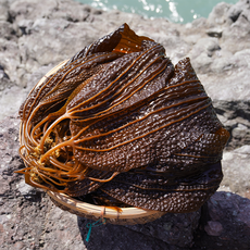 신지어부가 당일수확 완도산 생곰피미역 쌈미역 1kg 2kg