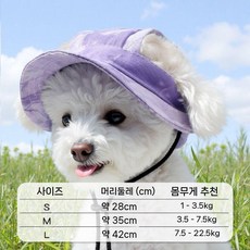 강아지 여름 통기성 귀노출 썬캡 소형견 모자, 보라