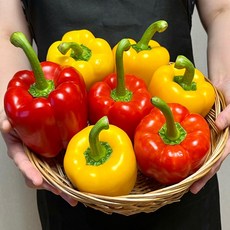 혼합 파프리카 빨강 노랑, 1세트, 1kg