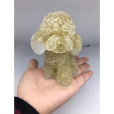 애완돌 반려돌 푸들 펫돌 반려석 애완석 돌멩이 키우기, 황수정, 1개