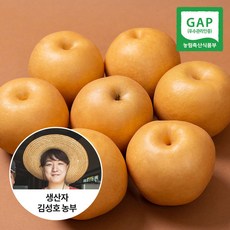 [신선연구소][GAP인증] 나주배 가정용 3kg 4-8과, 1박스, 3kg(4~8과)